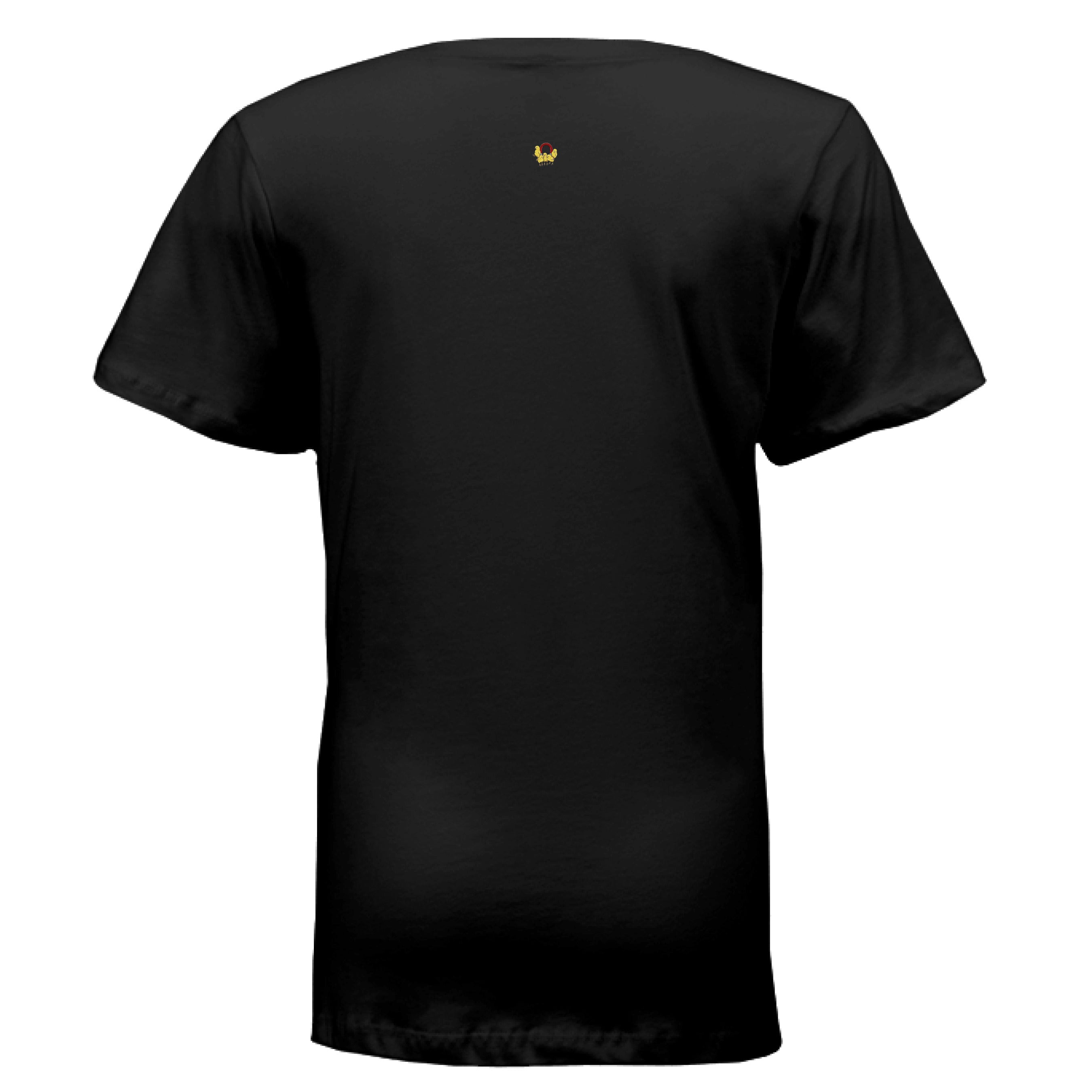 women's V neck t-shirt