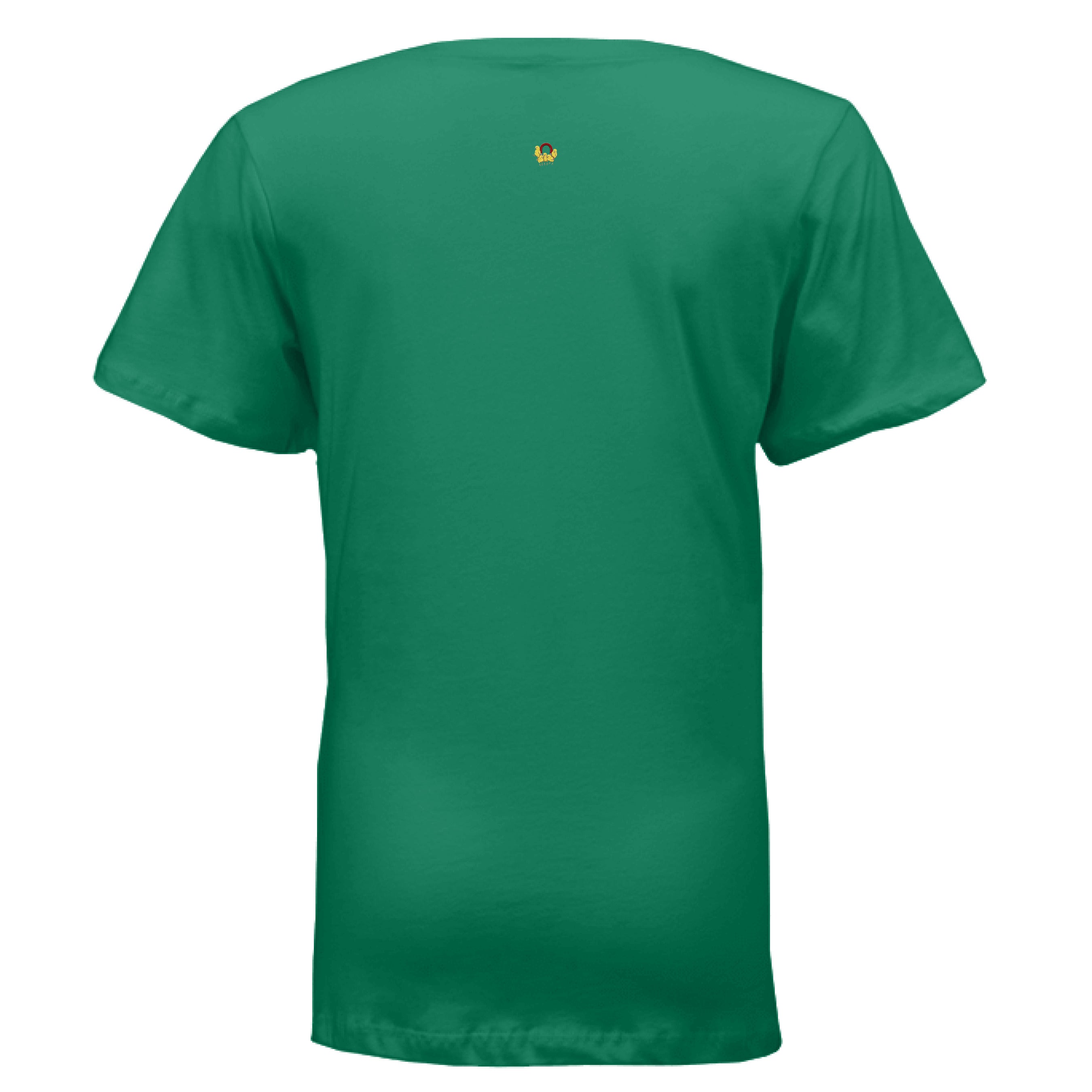 women's V neck t-shirt