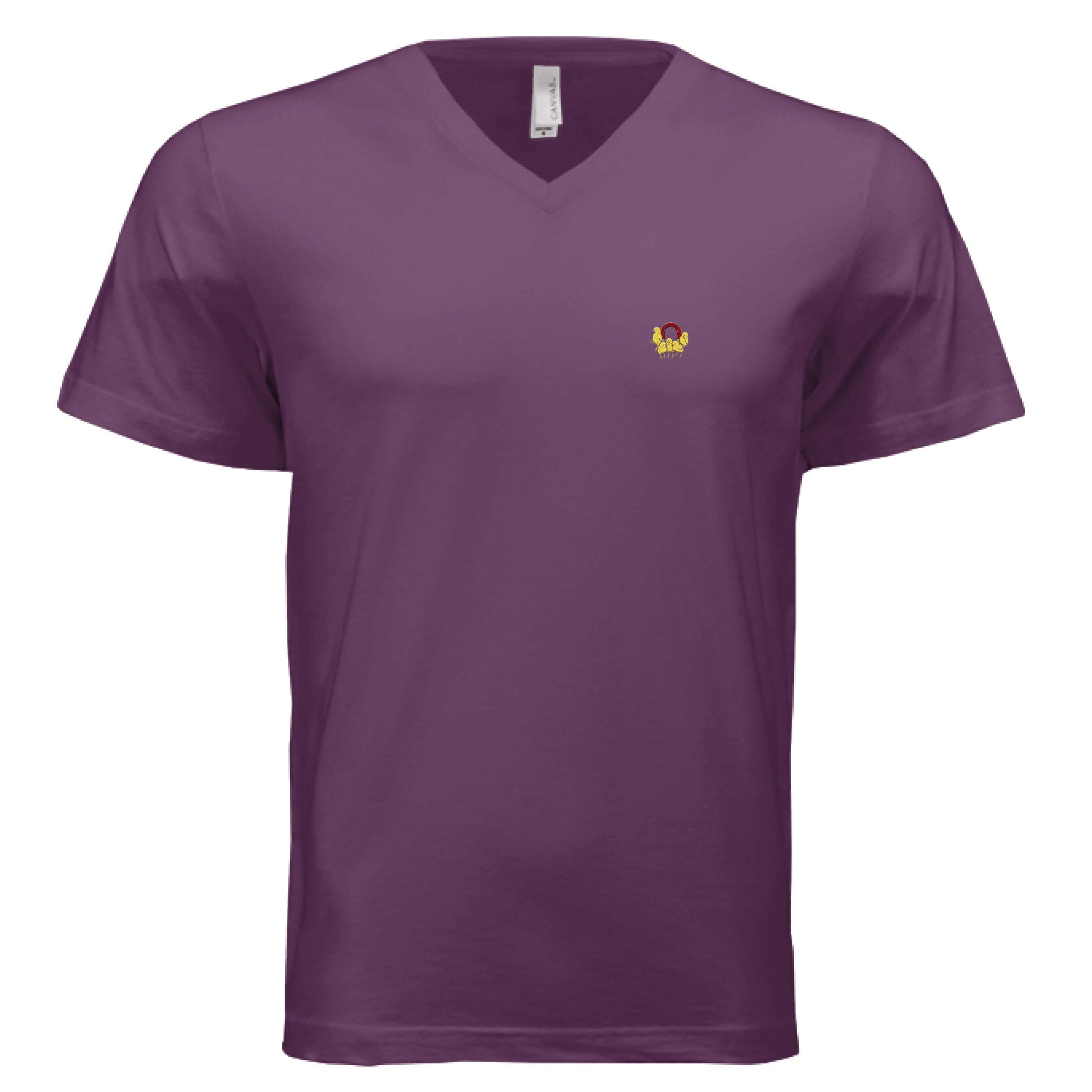 mens v-neck t-shirt